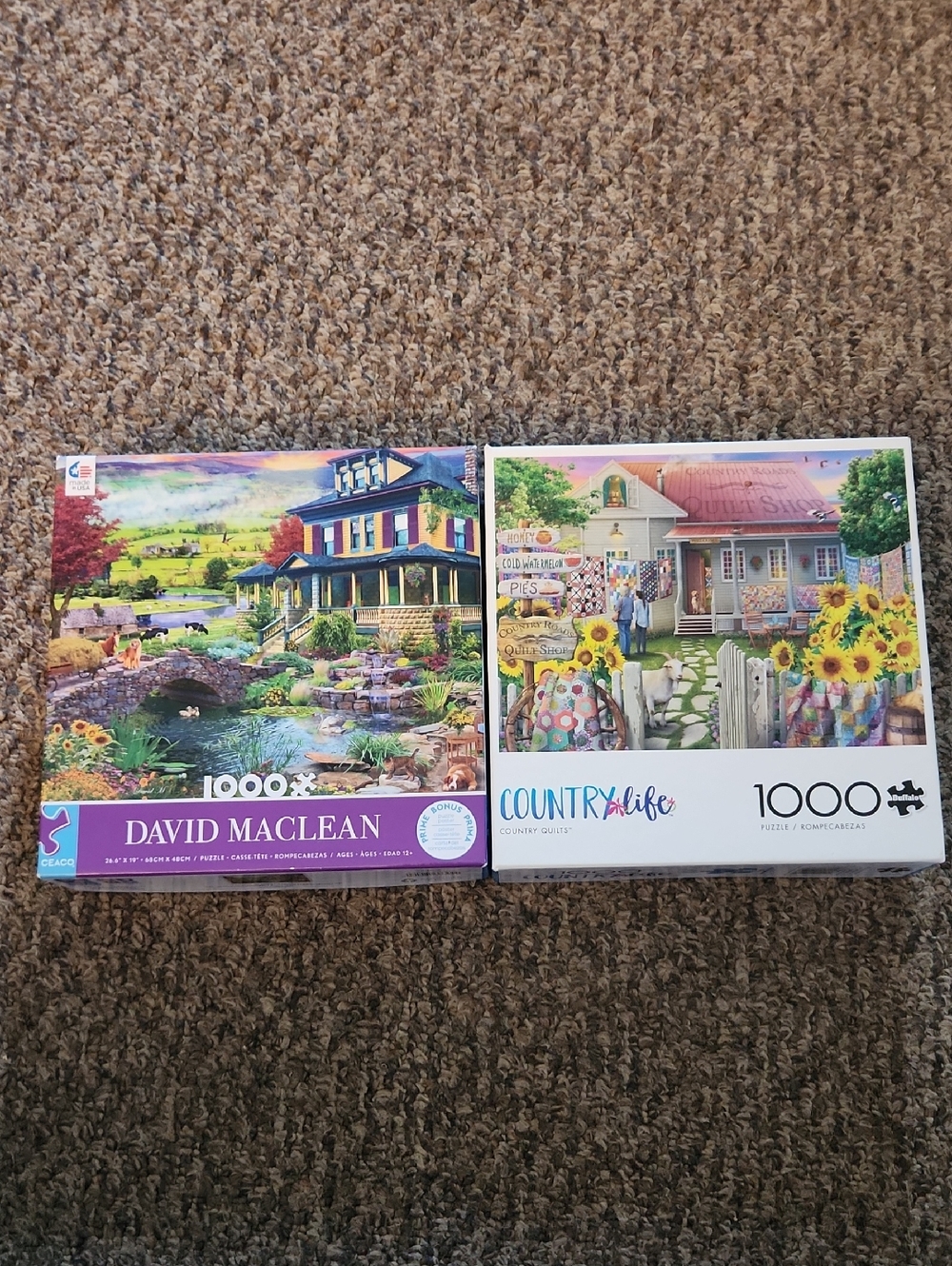 1000 Piece Jigsaw Puzzles
